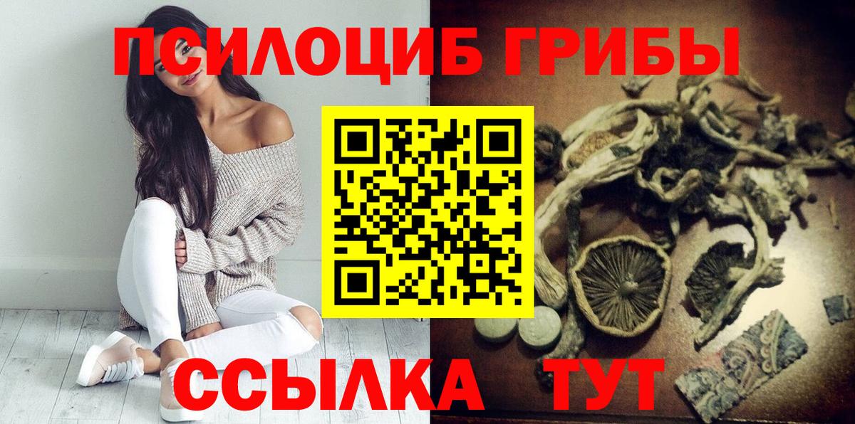 Галлюциногенные грибы Cubensis Ленинск-Кузнецкий