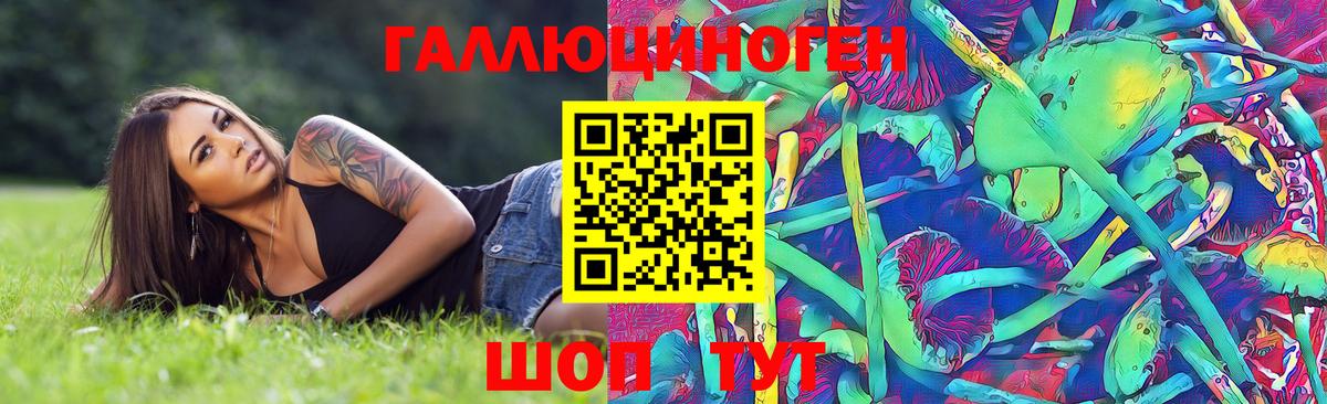 как найти закладки  Галлюциногенные грибы Psilocybine cubensis  Вход с VPN  Ленинск-Кузнецкий 